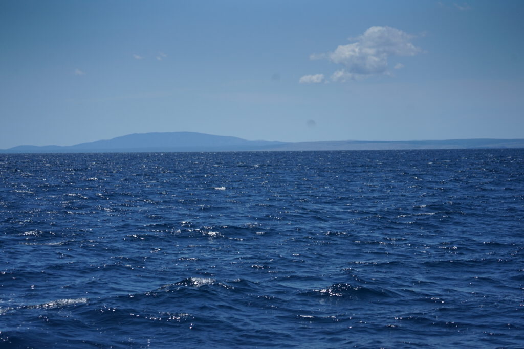 Sales Boost Workshops - Ihr Weg zu erfolgreicher Neukundenakquise dsc07910